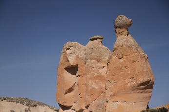 Cappadocia - Camel